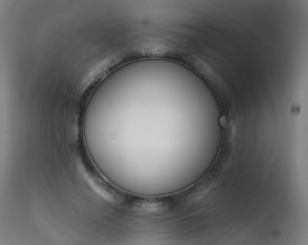 X0000111450638200907201050