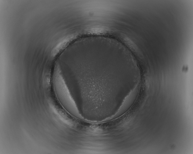 X0000111450640200907201050