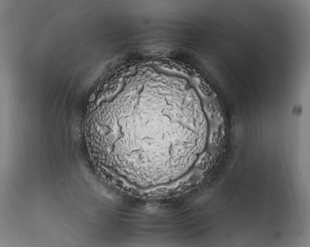 X0000111450641200907201050