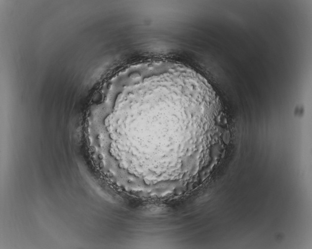 X0000111450642200907201050