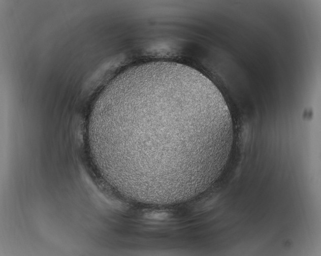 X0000111450643200907201050