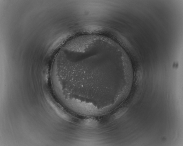 X0000111450644200907201050