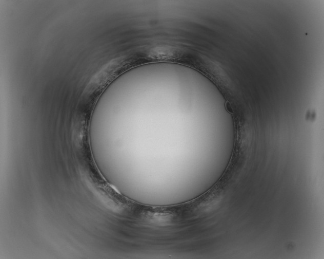 X0000111450645200907201050