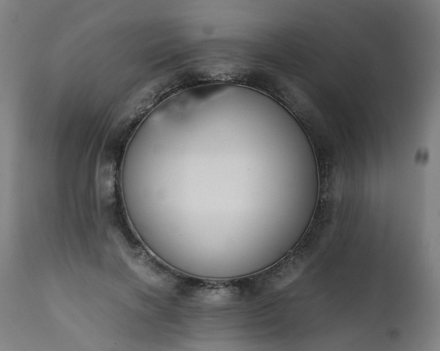X0000111450646200907201050