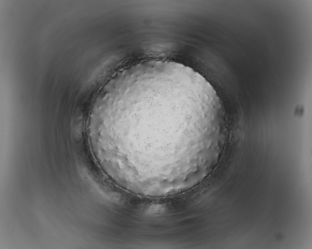 X0000111450647200907201050
