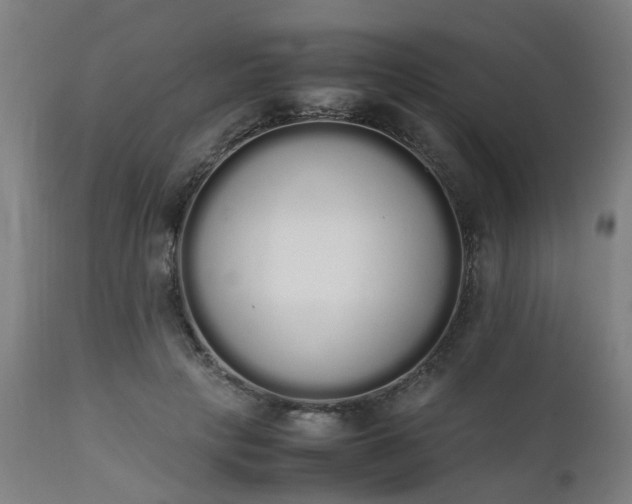 X0000111450649200907201050