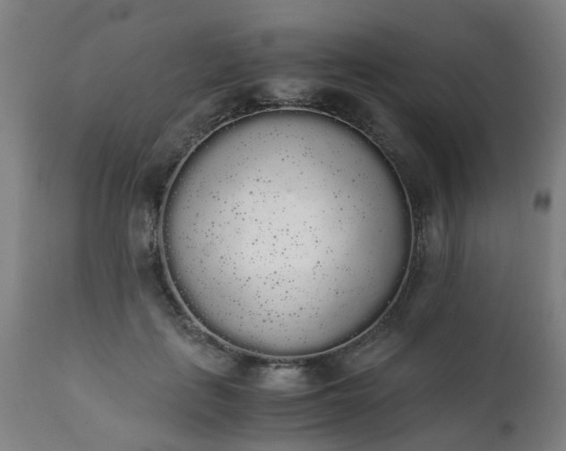 X0000111450651200907201050