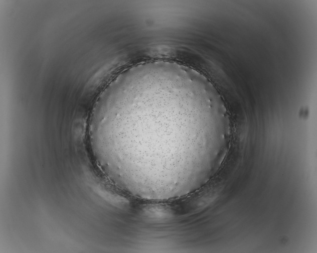 X0000111450652200907201050