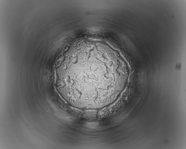 X0000111450653200907201050