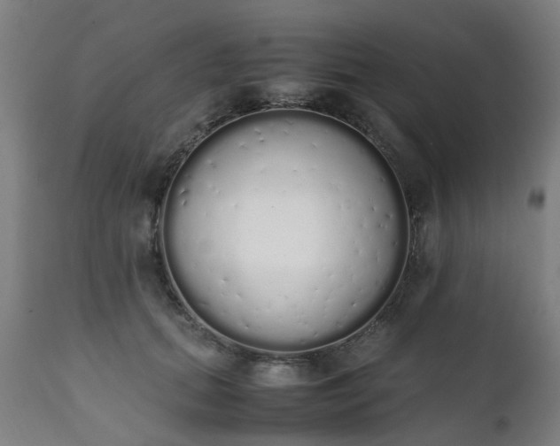 X0000111450655200907201050