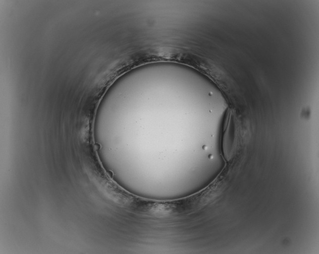 X0000111450656200907201050