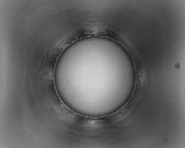 X0000111450657200907201050