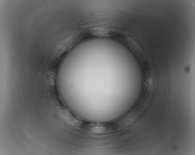 X0000111450658200907201050