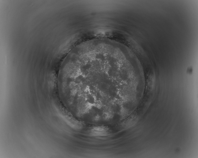X0000111450659200907201050