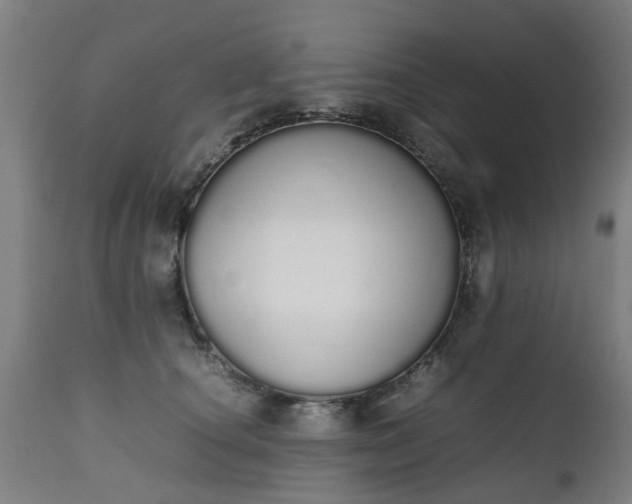 X0000111450660200907201050