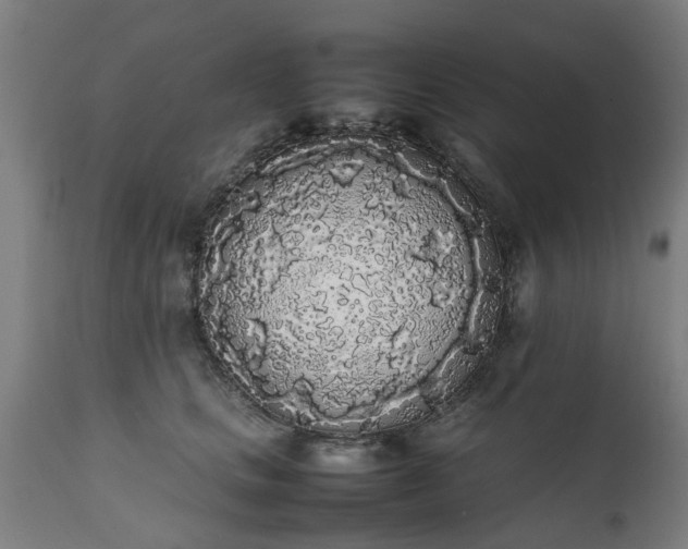 X0000111450661200907201050