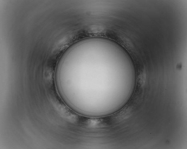 X0000111450662200907201050
