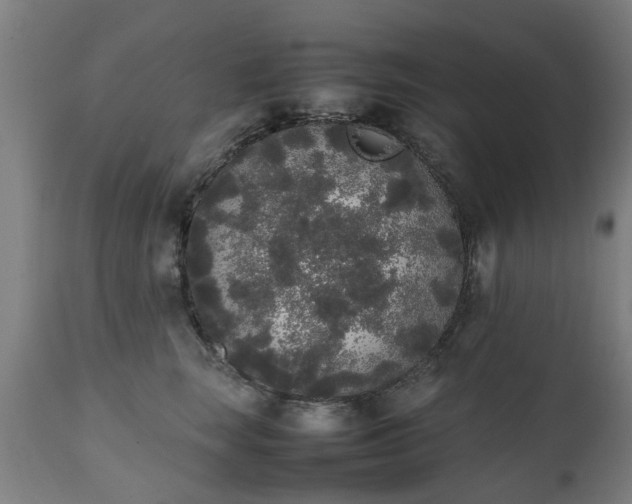 X0000111450663200907201050