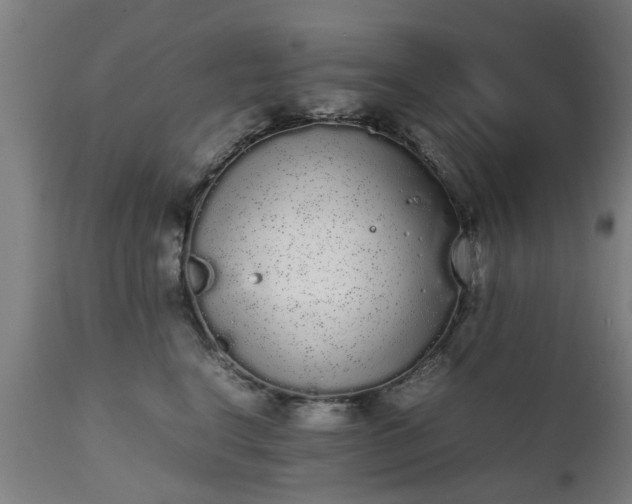 X0000111450664200907201050
