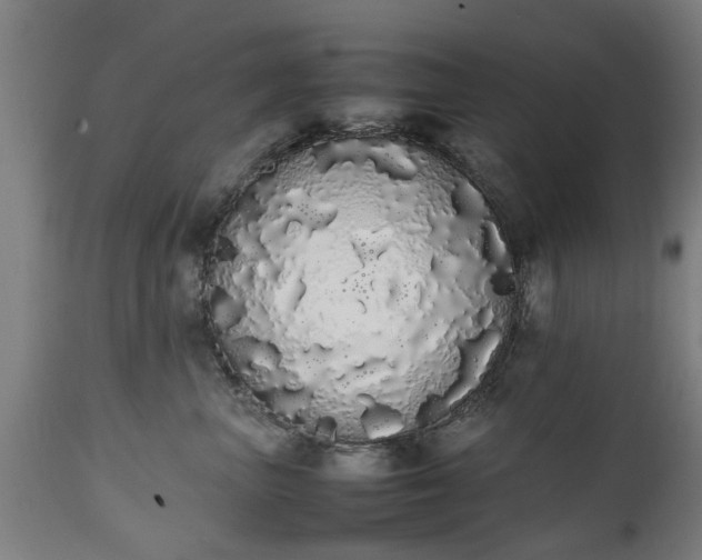 X0000111450667200907201050