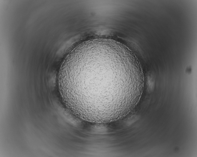 X0000111450668200907201050