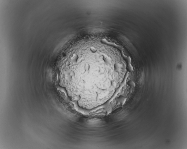 X0000111450669200907201050