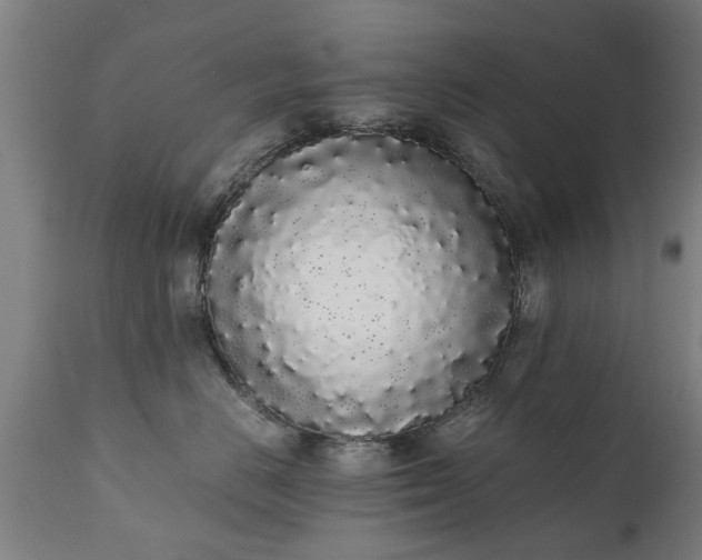 X0000111450670200907201050