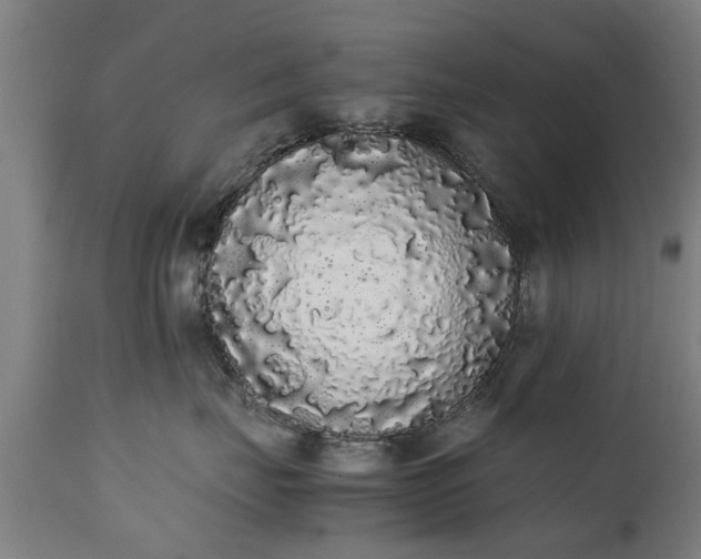 X0000111450671200907201050