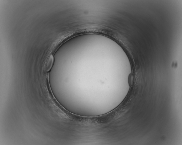 X0000111450673200907201049