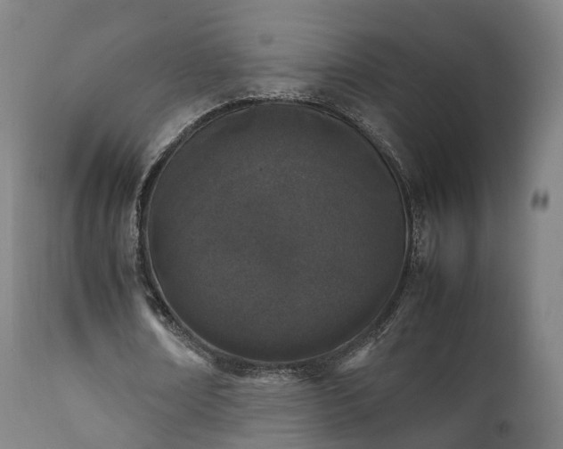 X0000111450674200907201049