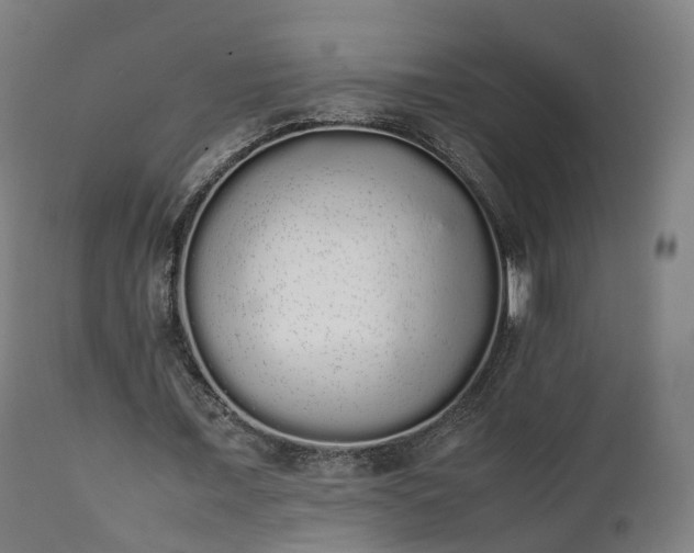 X0000111450675200907201049
