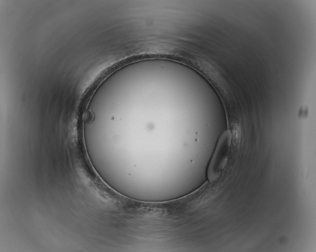 X0000111450676200907201049