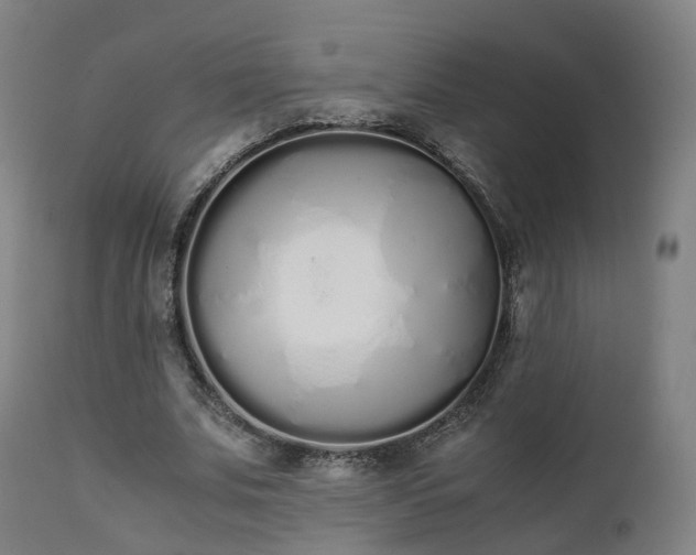 X0000111450679200907201049