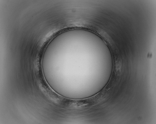 X0000111450680200907201049