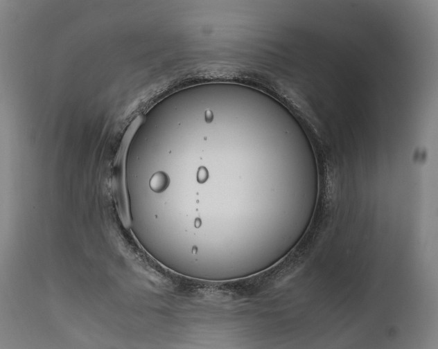 X0000111450681200907201049