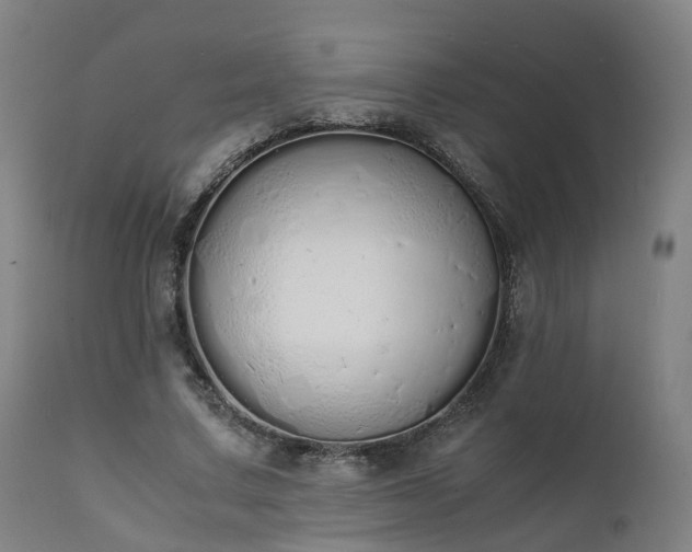X0000111450683200907201049