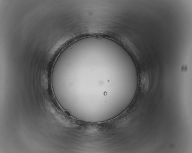 X0000111450684200907201049