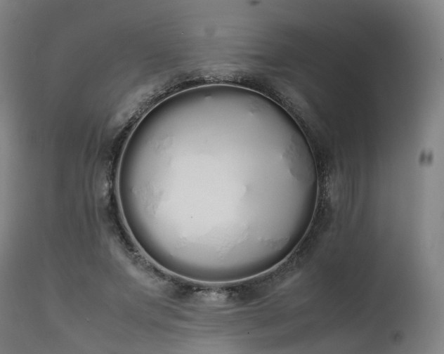 X0000111450687200907201049