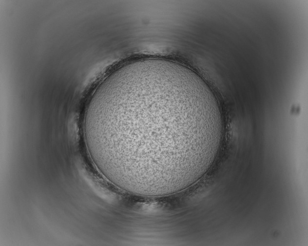X0000111450688200907201049
