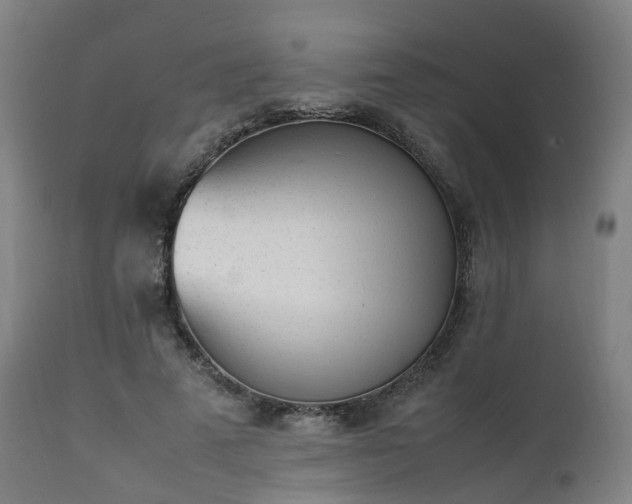 X0000111450689200907201049