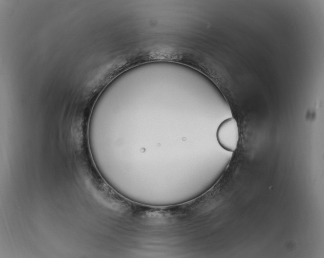 X0000111450690200907201049