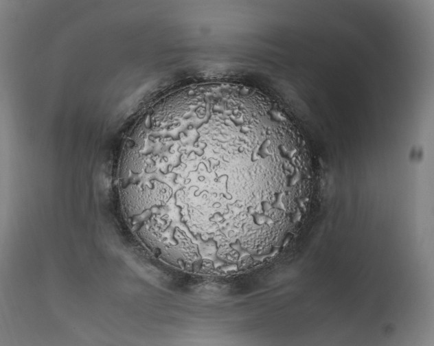 X0000111450691200907201049