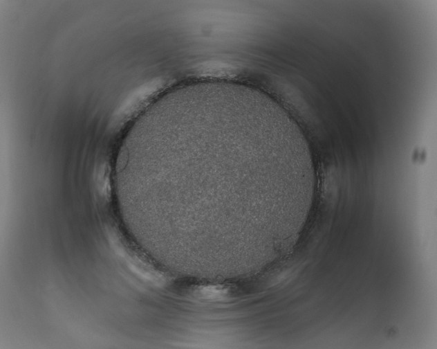 X0000111450692200907201049