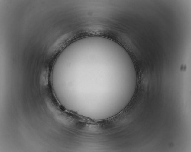 X0000111450694200907201049
