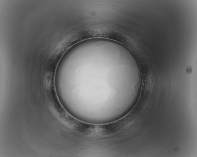 X0000111450695200907201049