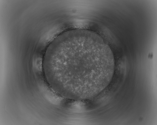 X0000111450696200907201049