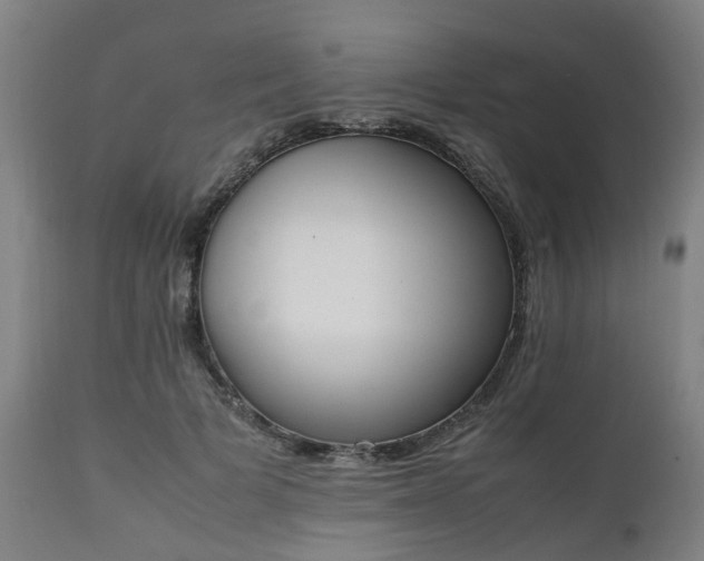 X0000111450697200907201049