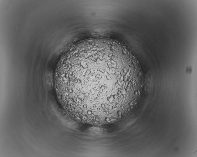 X0000111450699200907201049