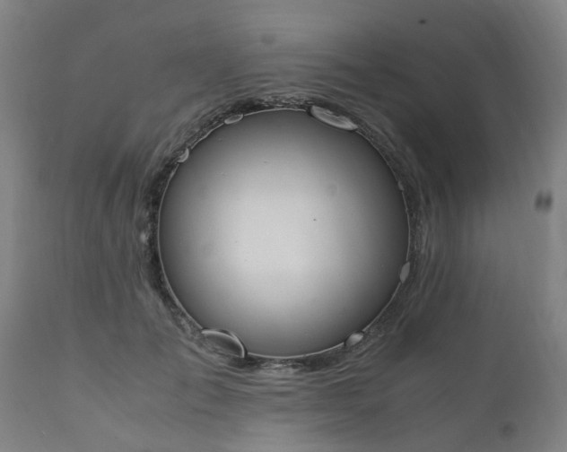 X0000111450701200907201049
