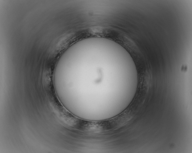 X0000111450702200907201049